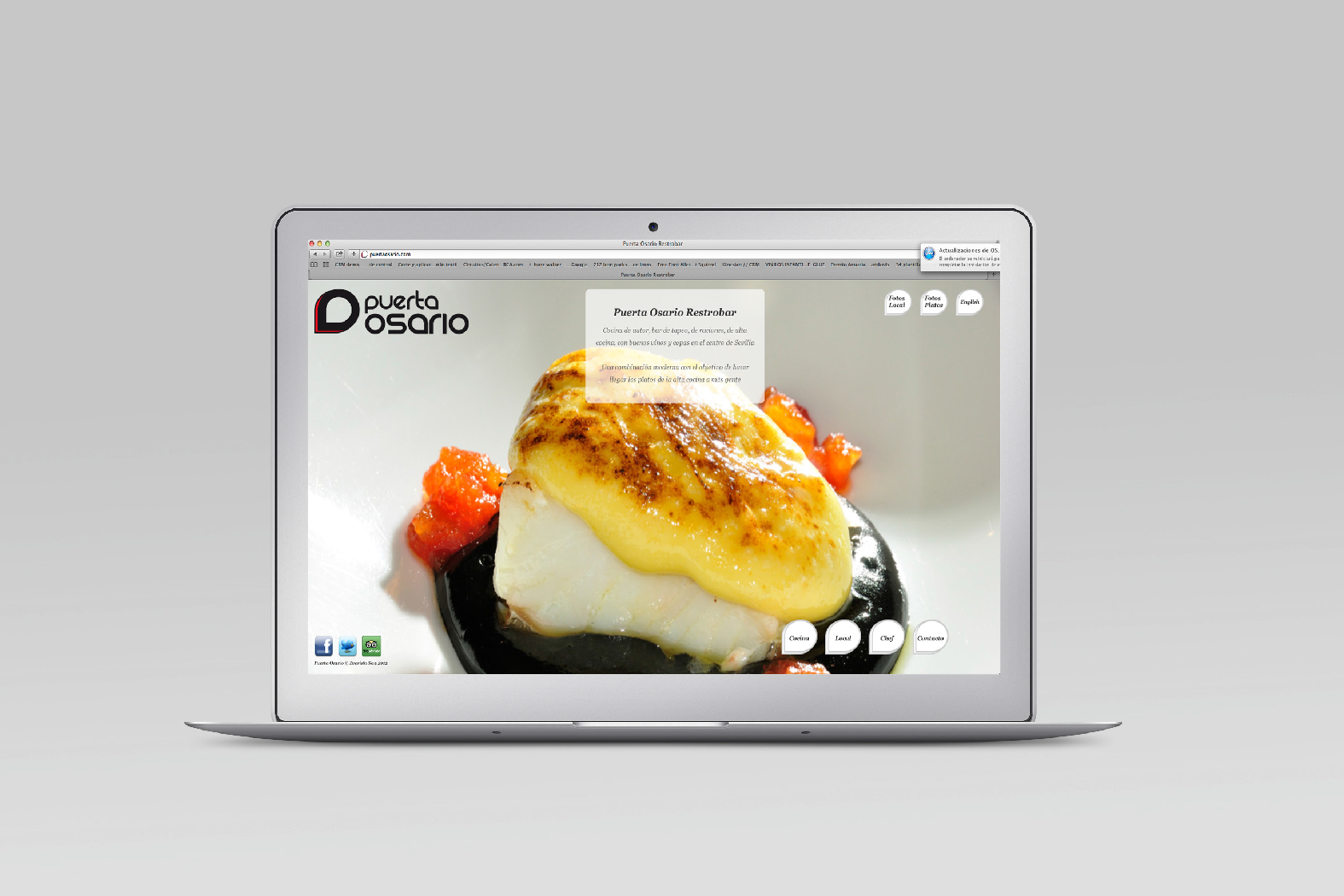 Diseño Web - Puerta Osario